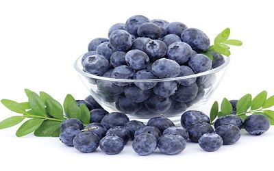 việt quất là loại hoa quả nên ăn khi bị bệnh trĩ